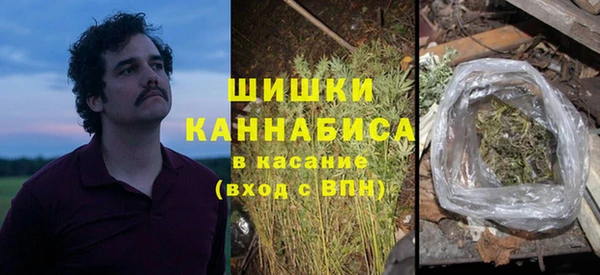 прущие крисы Балахна