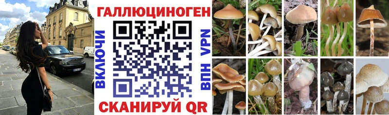 kraken tor купить наркотик Нижний Ломов Псилоцибиновые грибы Psilocybine cubensis
